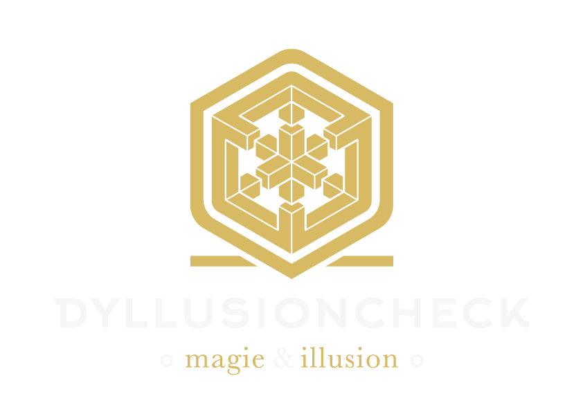 Magicien & Vidéaste *Lyon Rhône-Alpes* #DYLLUSIONCHECK